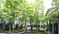 photo-3